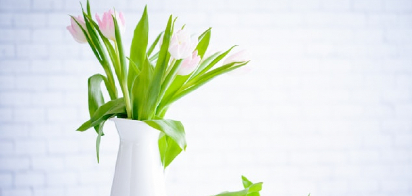 7 лесни начина да пуснете пролетта в дома и да преобразите интериора си