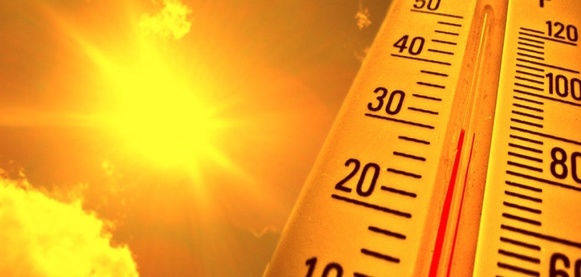 Как да оцелеем в жегите, ако нямаме климатик