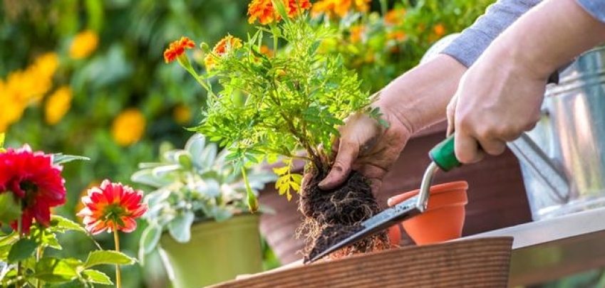 9 хитрини, които всеки градинар трябва да знае