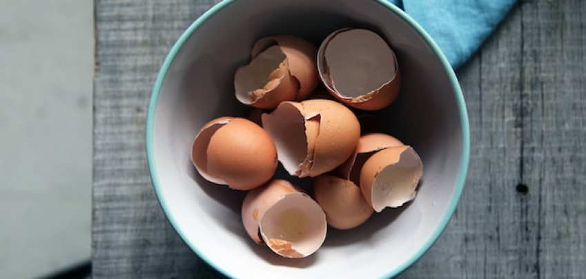 7 причини да запазите черупките от яйца