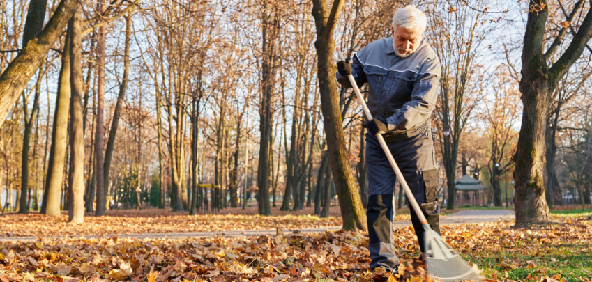 Как да подготвите двора за зимата