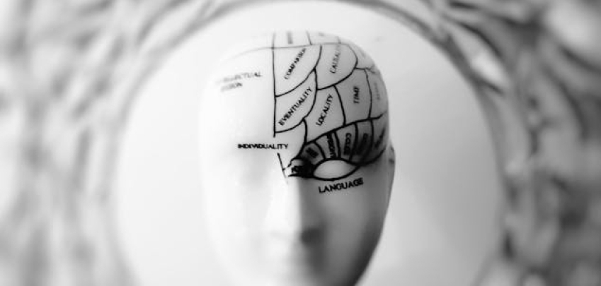 Невроестетика в интериорния дизайн: как цветовете и формите влияят на настроението 