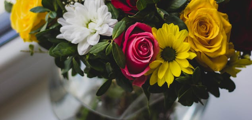 Добра идея ли е да се поставят рози в захарна вода? 