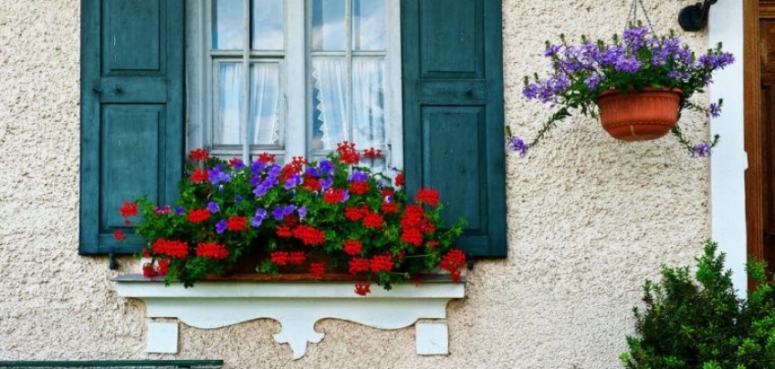 15 ефектни саксии за прозорци