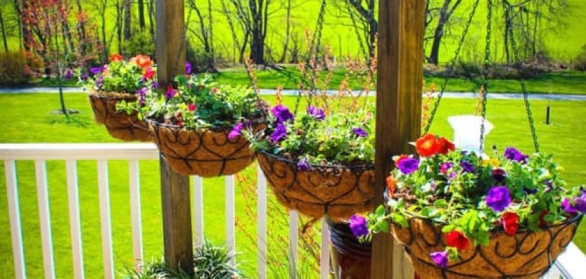 10 висящи градини, които ще направят двора по – чаровен
