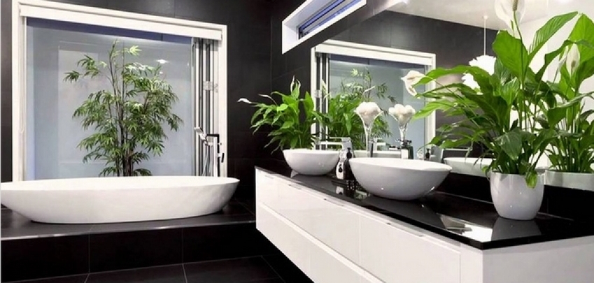 Най – добрите растения за банята – 7 предложения за по – красиво помещение