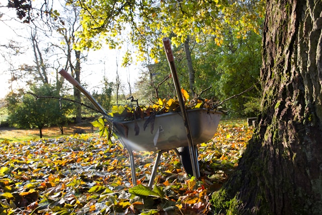 Защо не трябва да изхвърляте листата