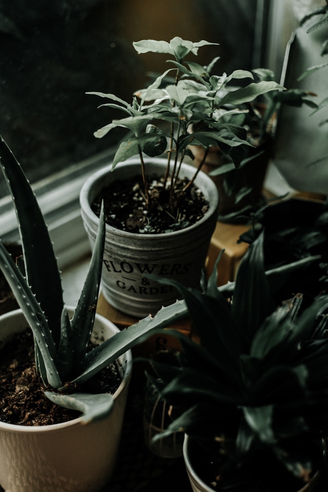 Какво има в домовете на щастливите хора