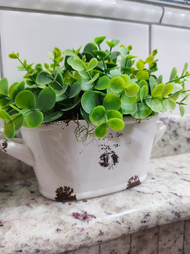 5 евтини предмета за декор, които развалят вида на дома