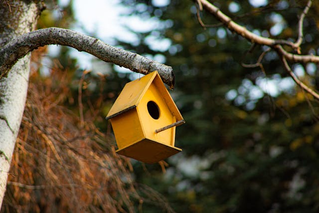 7 естествени решения, за да държите къртиците далеч от двора