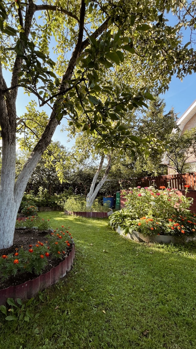 5 неща, които правят двора да изглежда занемарен