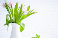 7 лесни начина да пуснете пролетта в дома и да преобразите интериора си