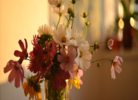 Стайни растения, които карат дома да ухае невероятно