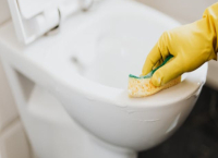 Необичайни неща, с които може да почистите тоалетната 