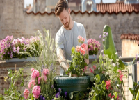 5 грешки, които хората допускат когато пресаждат растения