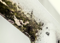 7 начина да премахнете миризмата на мухъл у дома