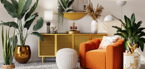 Грешки, които съсипват стайните растения през зимата 